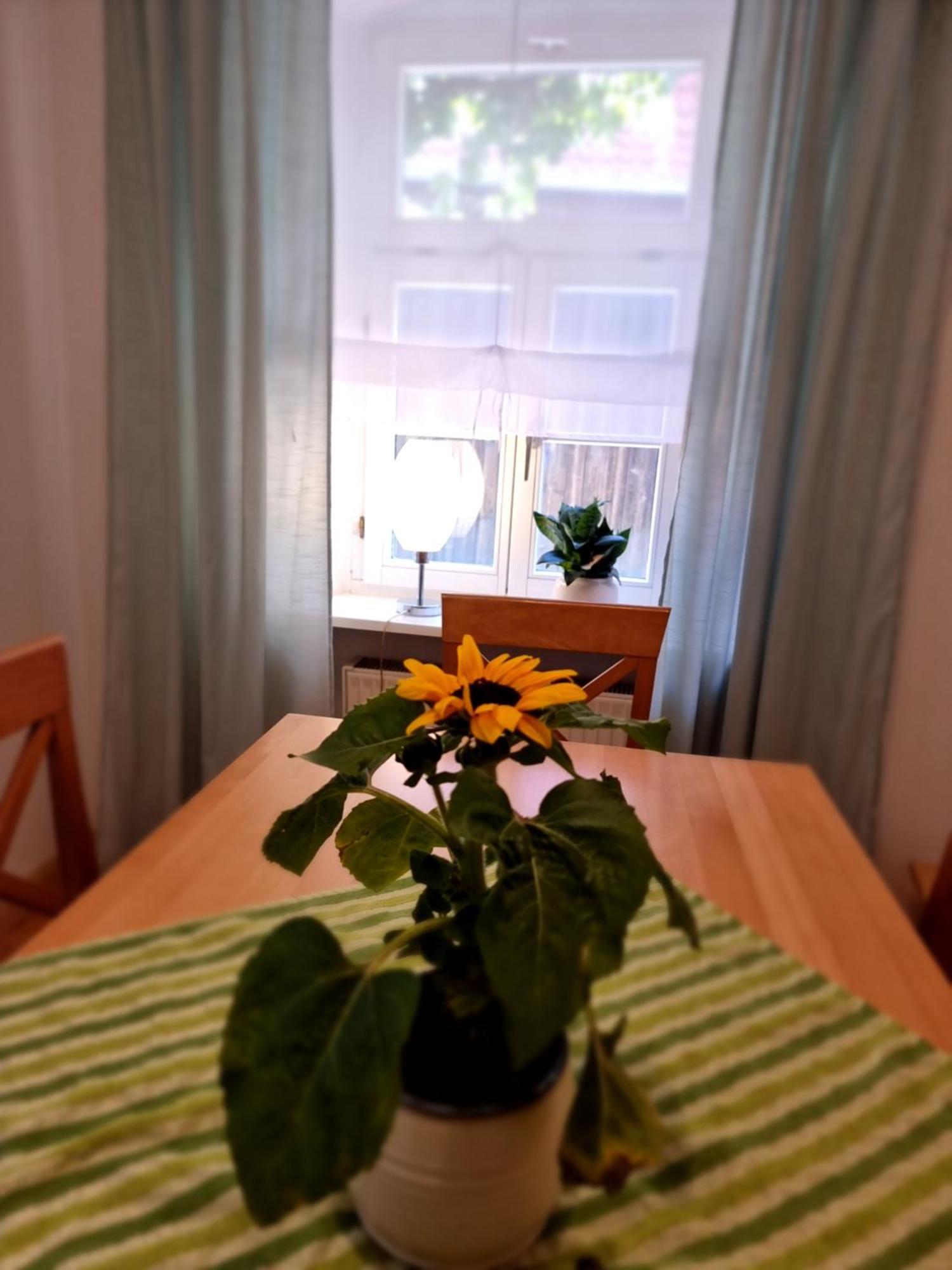 Ferienwohnung Boehm Segnitz Ruang foto